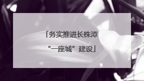 务实推进长株潭“一座城”建设
