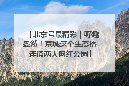 北京号最精彩｜野趣盎然！京城这个生态桥连通两大网红公园