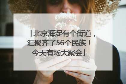 北京海淀有个街道，汇聚齐了56个民族！今天有场大聚会