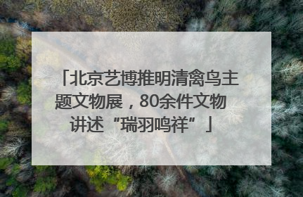 北京艺博推明清禽鸟主题文物展，80余件文物讲述“瑞羽鸣祥”