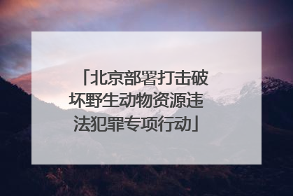 北京部署打击破坏野生动物资源违法犯罪专项行动