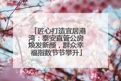 匠心打造宜居港湾：泰安直管公房焕发新颜，群众幸福指数节节攀升
