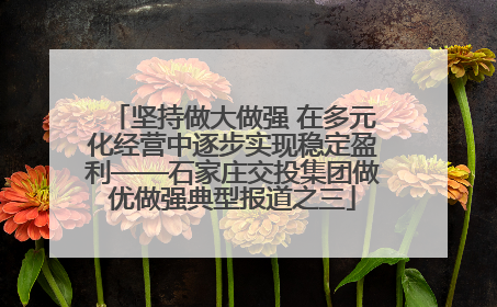 坚持做大做强 在多元化经营中逐步实现稳定盈利——石家庄交投集团做优做强典型报道之三