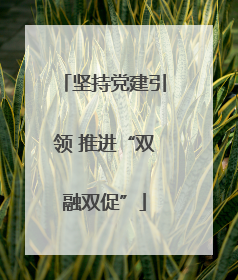 坚持党建引领 推进“双融双促”