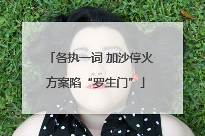 各执一词 加沙停火方案陷“罗生门”
