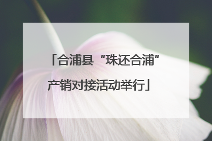 合浦县“珠还合浦”产销对接活动举行