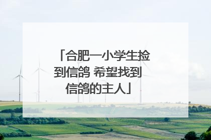 合肥一小学生捡到信鸽 希望找到信鸽的主人