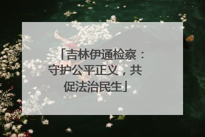 吉林伊通检察：守护公平正义，共促法治民生