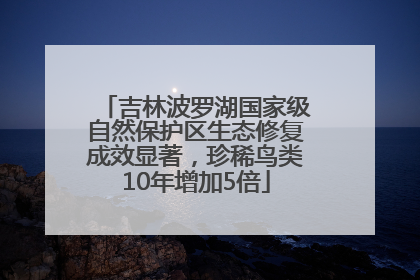 吉林波罗湖国家级自然保护区生态修复成效显著，珍稀鸟类10年增加5倍