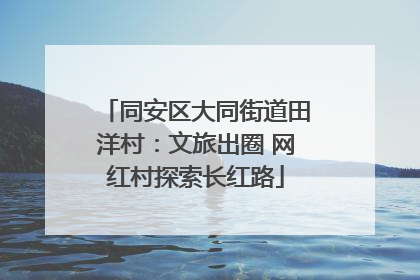 同安区大同街道田洋村：文旅出圈 网红村探索长红路