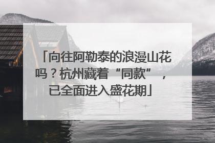 向往阿勒泰的浪漫山花吗？杭州藏着“同款”，已全面进入盛花期