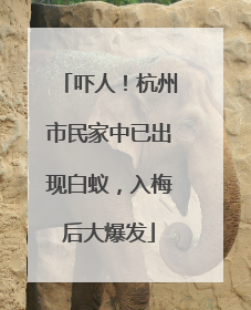 吓人！杭州市民家中已出现白蚁，入梅后大爆发