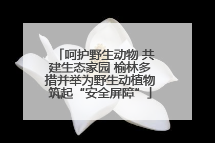 呵护野生动物 共建生态家园 榆林多措并举为野生动植物筑起“安全屏障”