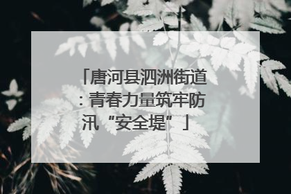 唐河县泗洲街道：青春力量筑牢防汛“安全堤”