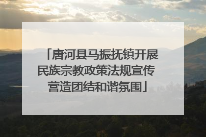 唐河县马振抚镇开展民族宗教政策法规宣传 营造团结和谐氛围