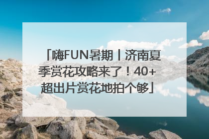 嗨FUN暑期丨济南夏季赏花攻略来了！40+超出片赏花地拍个够