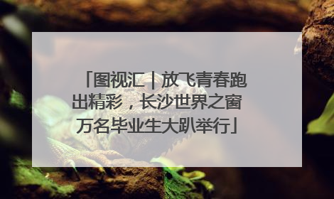 图视汇｜放飞青春跑出精彩，长沙世界之窗万名毕业生大趴举行