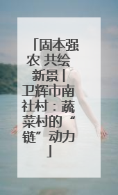 固本强农 共绘新景 ︳卫辉市南社村：蔬菜村的“链”动力