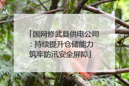 国网修武县供电公司：持续提升仓储能力 筑牢防汛安全屏障