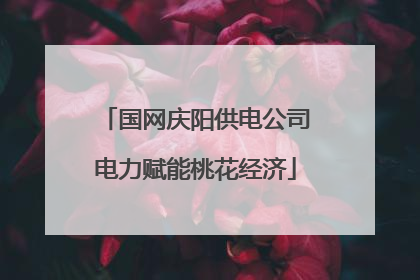 国网庆阳供电公司电力赋能桃花经济