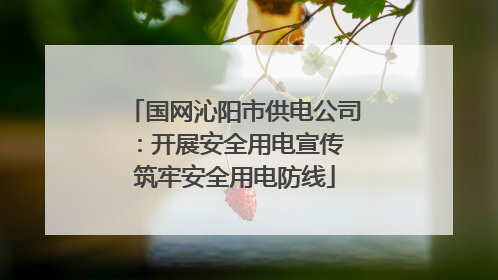 国网沁阳市供电公司：开展安全用电宣传 筑牢安全用电防线