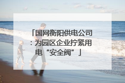 国网衡阳供电公司：为园区企业拧紧用电“安全阀”