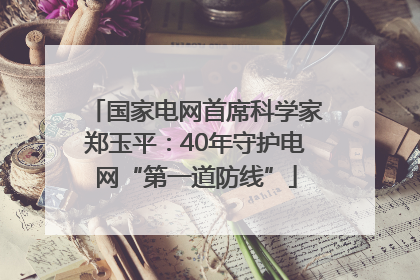 国家电网首席科学家郑玉平：40年守护电网“第一道防线”