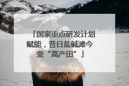 国家重点研发计划赋能，昔日盐碱滩今变“高产田”