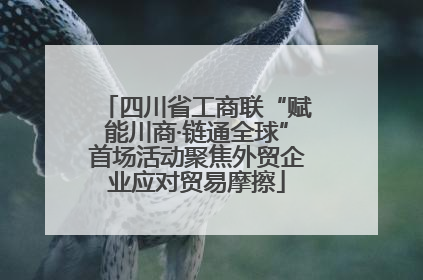 四川省工商联“赋能川商·链通全球”首场活动聚焦外贸企业应对贸易摩擦