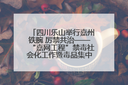 四川乐山举行嘉州铁腕 厉禁共治——“嘉网工程”禁毒社会化工作暨毒品集中销毁启动仪式