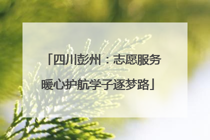 四川彭州：志愿服务暖心护航学子逐梦路