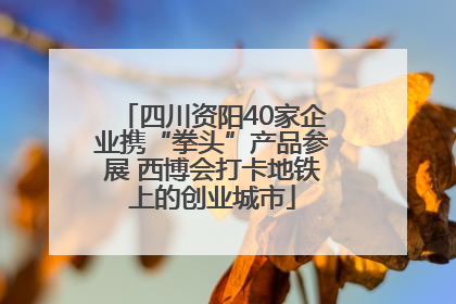 四川资阳40家企业携“拳头”产品参展 西博会打卡地铁上的创业城市