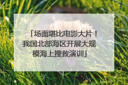 场面堪比电影大片！我国北部海区开展大规模海上搜救演训