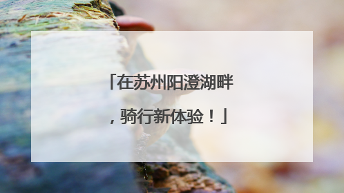 在苏州阳澄湖畔，骑行新体验！