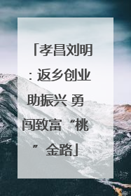孝昌刘明：返乡创业助振兴 勇闯致富“桃”金路
