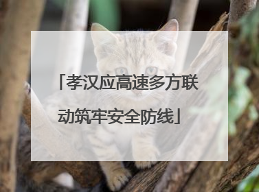 孝汉应高速多方联动筑牢安全防线