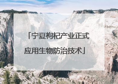 宁夏枸杞产业正式应用生物防治技术