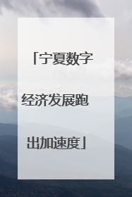宁夏数字经济发展跑出加速度