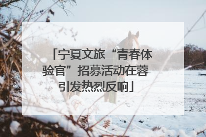 宁夏文旅“青春体验官”招募活动在蓉引发热烈反响