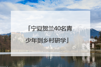 宁夏贺兰40名青少年到乡村研学