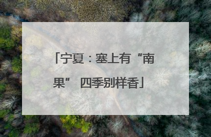 宁夏：塞上有“南果” 四季别样香