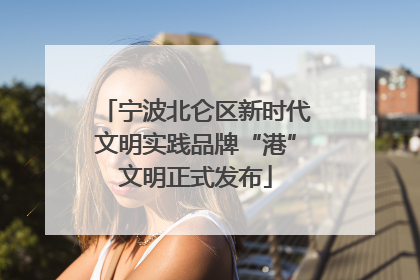 宁波北仑区新时代文明实践品牌“港”文明正式发布