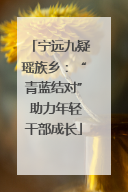 宁远九疑瑶族乡：“青蓝结对” 助力年轻干部成长