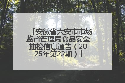 安徽省六安市市场监督管理局食品安全抽检信息通告（2025年第22期）