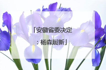 安徽省委决定：杨森履新