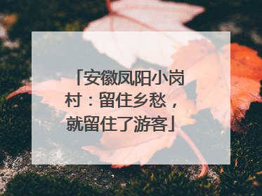 安徽凤阳小岗村：留住乡愁，就留住了游客