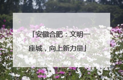 安徽合肥：文明一座城，向上新力量