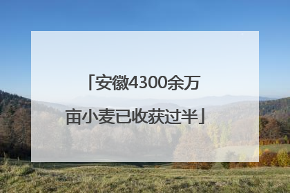 安徽4300余万亩小麦已收获过半
