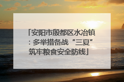 安阳市殷都区水冶镇：多举措备战“三夏” 筑牢粮食安全防线