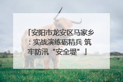安阳市龙安区马家乡：实战演练砺精兵 筑牢防汛“安全堤”